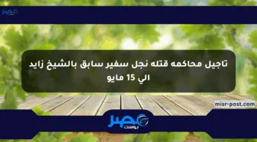 تأجيل محاكمة قتلة نجل سفير سابق بالشيخ زايد إلى 15 مايو
